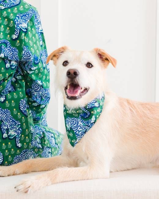 Tiger Queen - Pet Bandana - Jade