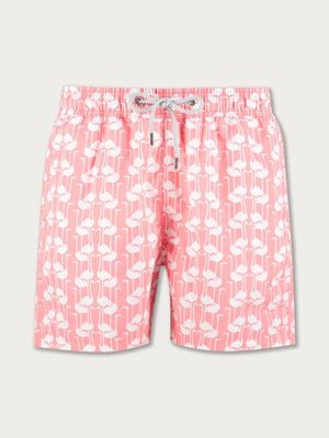 Men's Necks of Necker Staniel Swim Shorts