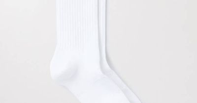 The Sport Socks in White | Organic Cotton | Asket