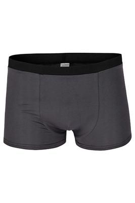 Bio Trunk Shorts / Retro Shorts anthrazit