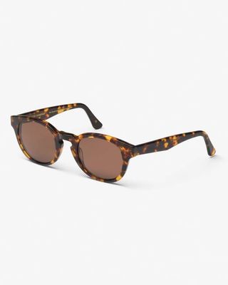 Sunglass 12 - Classic Havana - Brown