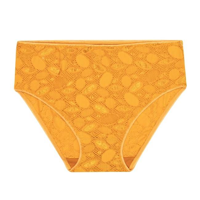 Culotte - Cassiopée Lace - Gold Sunflower