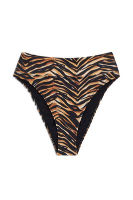 High Kick Brief in Tigre