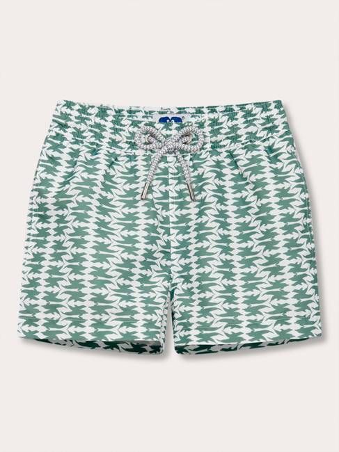 Boys Dolphins of Greece Staniel Swim Shorts