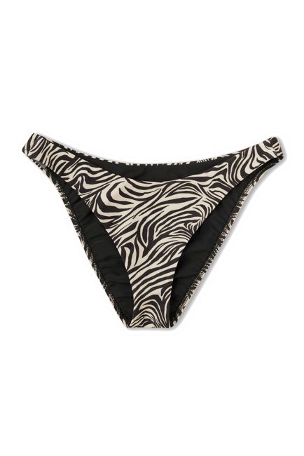Curve Brief in Zebre