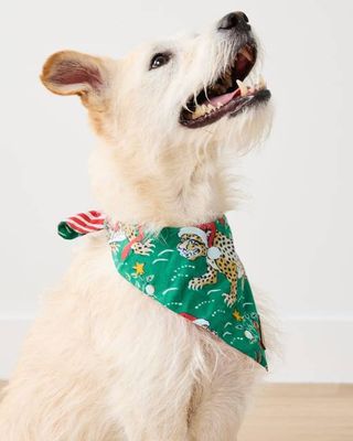 Very Merry Bagheera - Lightweight Flannel Pet Bandana - Mistletoe
