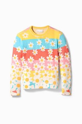 Daisy Rainbow Crazysoft Crew