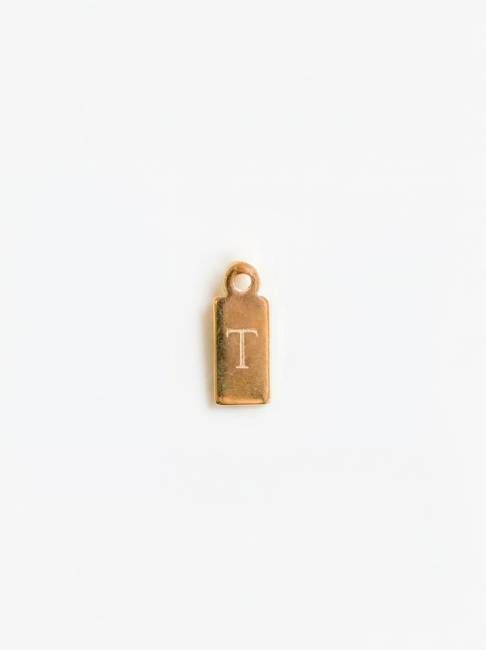 Mini Dog Tag Add-On