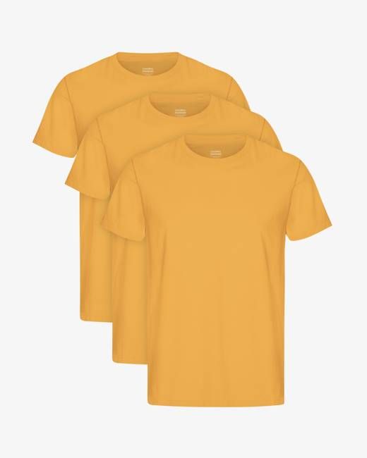 Classic Organic Tee - Burned Yellow (3-Pack)