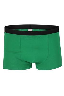 Bio Trunk Shorts / Retro Shorts grün