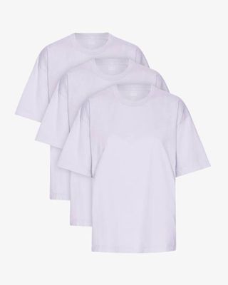 Oversized Organic T-Shirt - Soft Lavender (3-Pack)