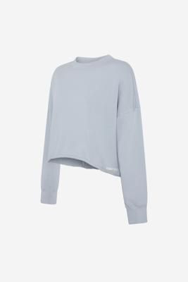 GREY SWEATSHIRT DELAN