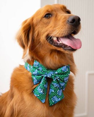 PF x The Foggy Dog Tiger Queen - Lady Dog Bow - Jade