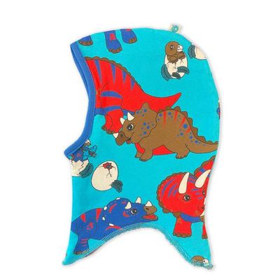 Reversible hood with dinosaurs