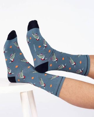 Woodpecker Organic Cotton Crew Socks - Blue Multi