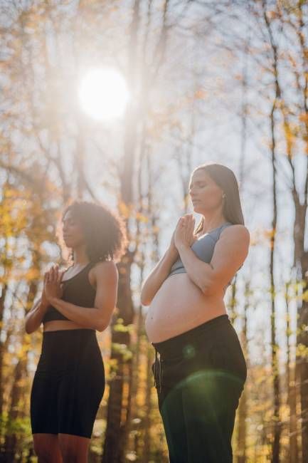 Full Bloom Collection