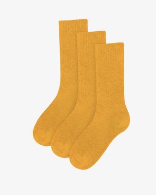 Organic Active Sock - Burned Yellow (3-Pack)