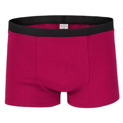 Bio Trunk Shorts / Retro Shorts beere - kaufen