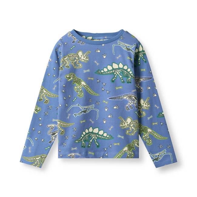 Gala long-sleeved top with dinosaurs