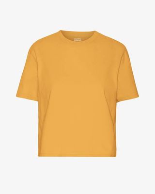 Organic Boxy Crop Tee - Burned Yellow