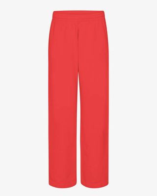 Organic Straight Leg Sweatpants - Red Tangerine