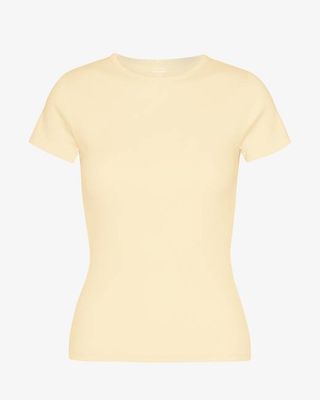 Organic Rib T-Shirt - Soft Yellow
