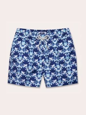 Boys Turtle Eclipse Staniel Swim Shorts