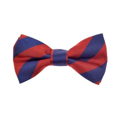 Henley Children's Silk Bow Tie - Blue & Red Varsity Stripes
