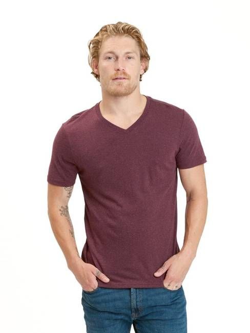 Triblend V-Neck Tee