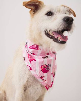 Game Day - Pet Bandana - Powder Puff