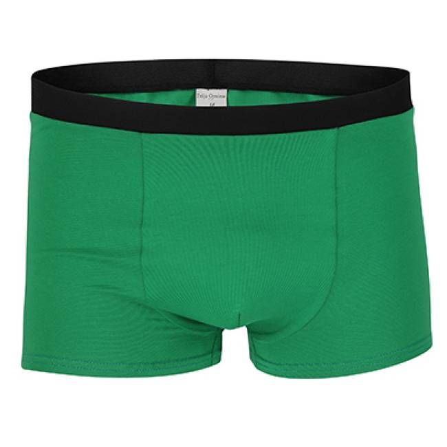 Bio Trunk Shorts / Retro Shorts grün - kaufen