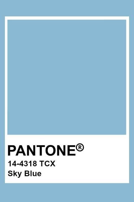 Organic Extra Long Slim T-shirt (Pastel Blue)