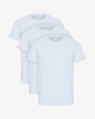Classic Organic Tee - Polar Blue (3-Pack)