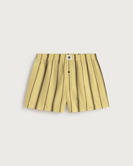 Yellow black striped boxers