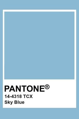 Organic Extra Long Slim T-shirt (Pastel Blue)