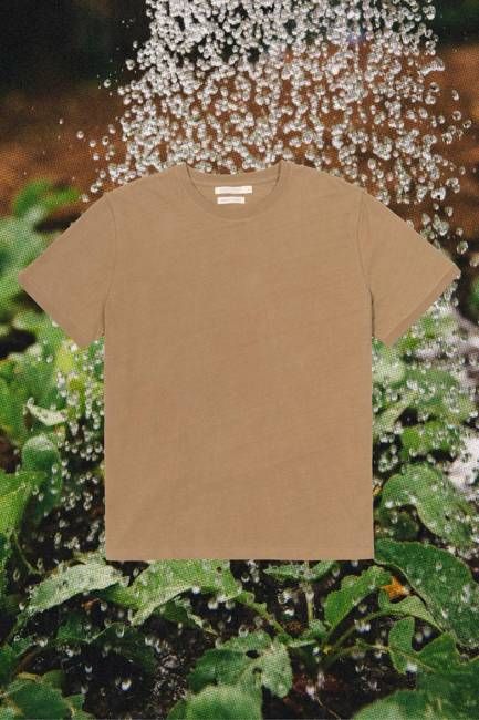 Regenerative Short Sleeve Tee | Clay
