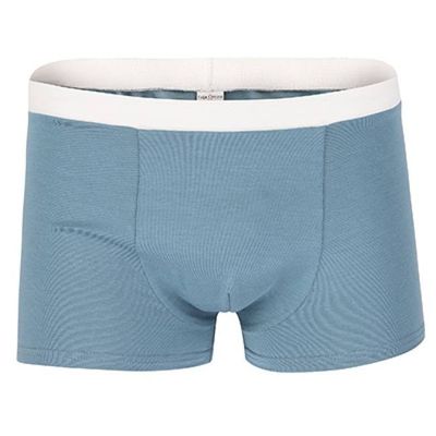 Bio Trunk Shorts / Retro Shorts hellgrau - kaufen