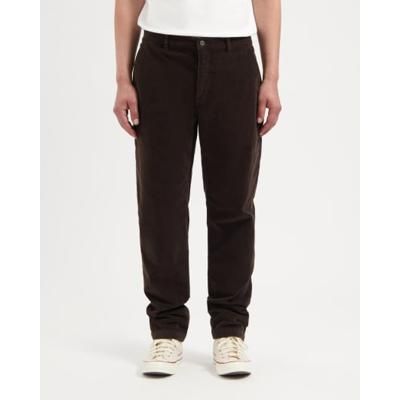 Darren Corduroy